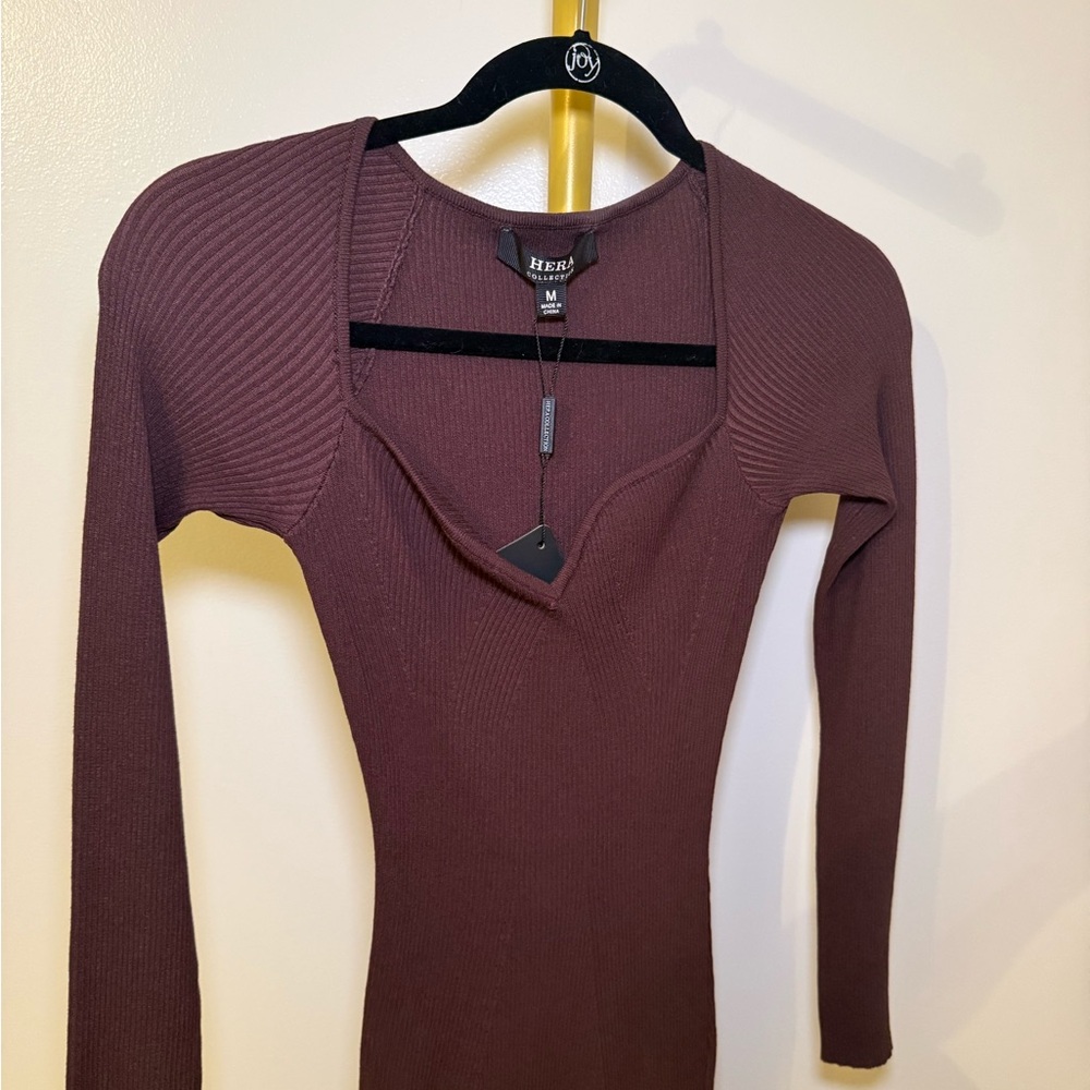 Hera Collection Ribbed Mini Dress in Brown